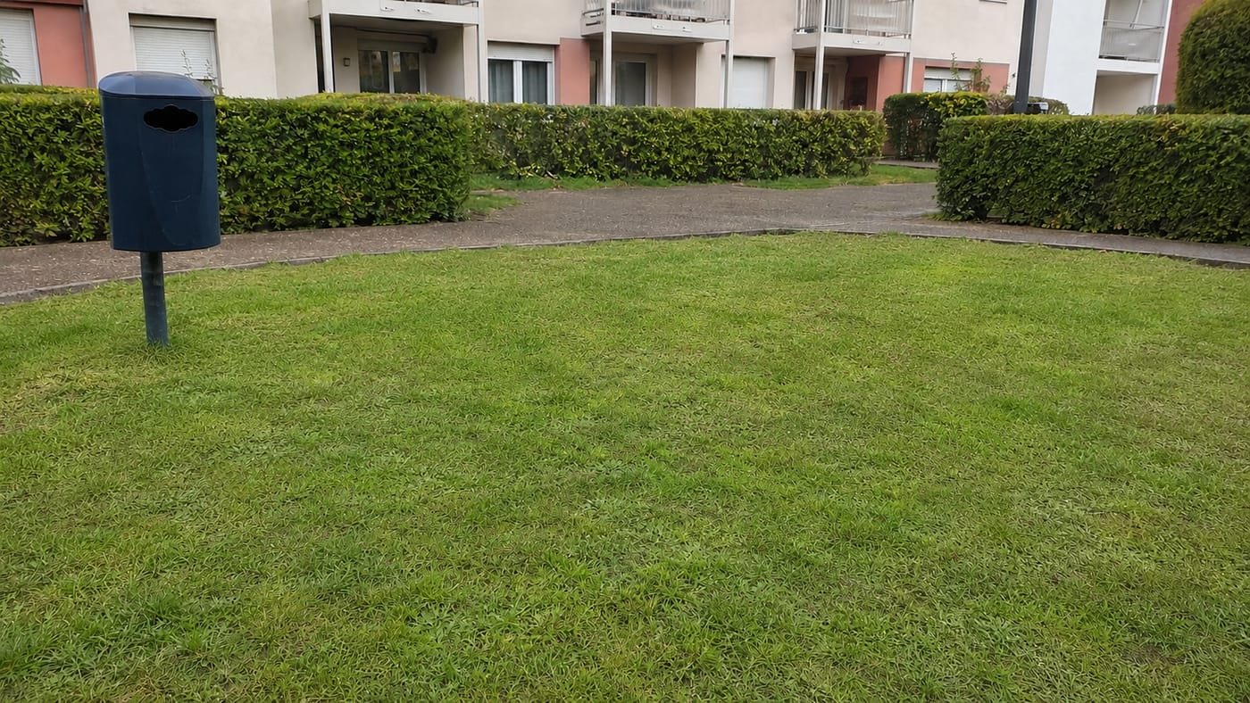 La même pelouse de résidence, nette et sans déjections après le passage de Nettalya