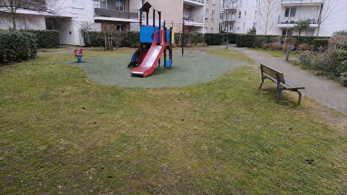Espace commun d'une résidence avant intervention, pelouse souillée